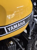 Generated by pixel @ 2025-09-17T01:59:51.551820