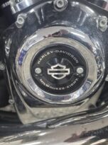 Generated by pixel @ 2025-10-01T04:10:29.235992