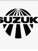 Generated by pixel @ 2025-10-10T05:22:37.417453