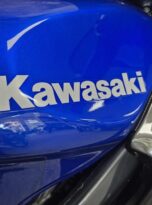 Generated by pixel @ 2025-10-13T02:09:01.301125